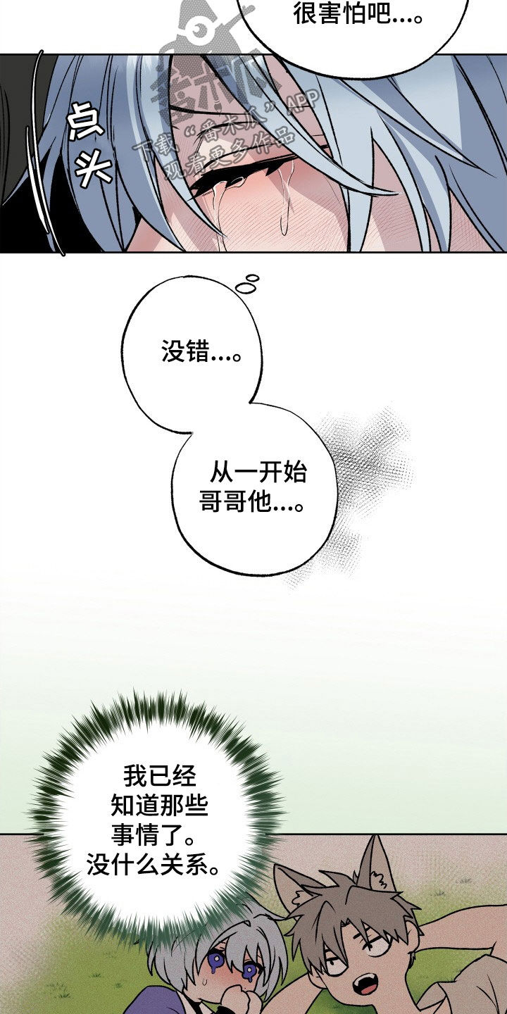 第33章：求婚10