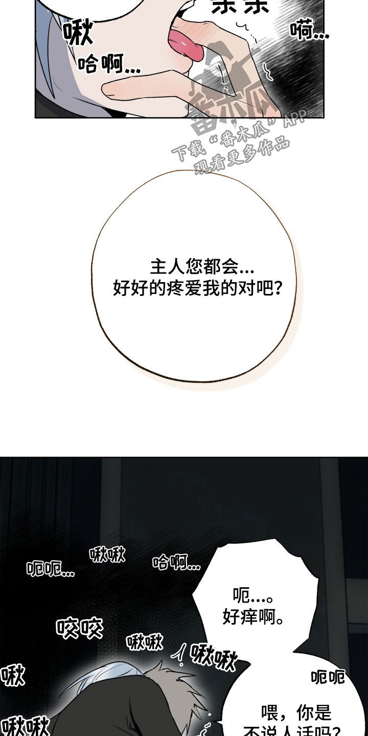 第46章：狗狗与主人19
