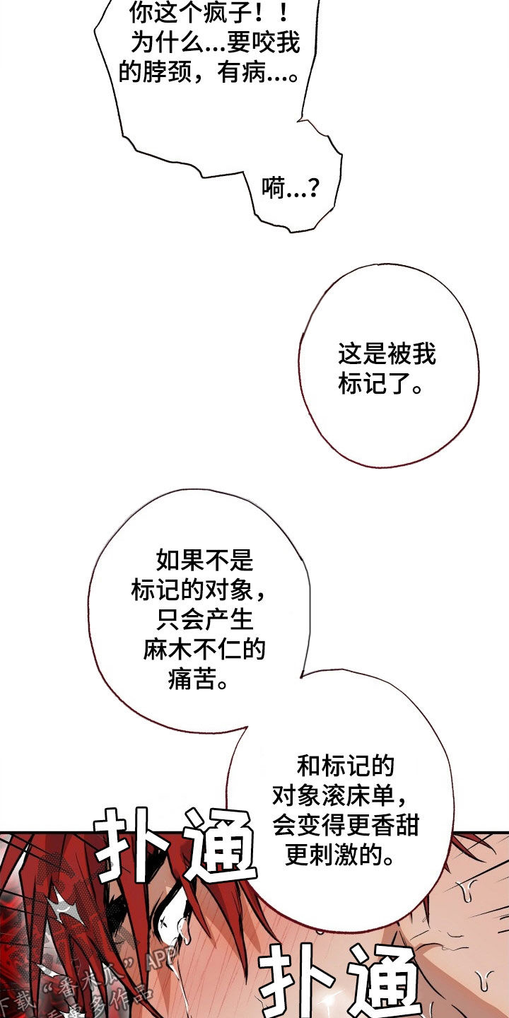 第55章：【第二季】等价交换23
