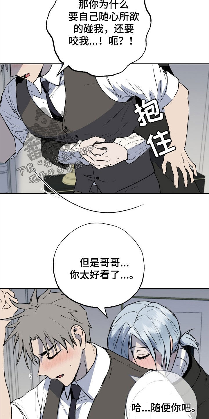 第41章：着急11