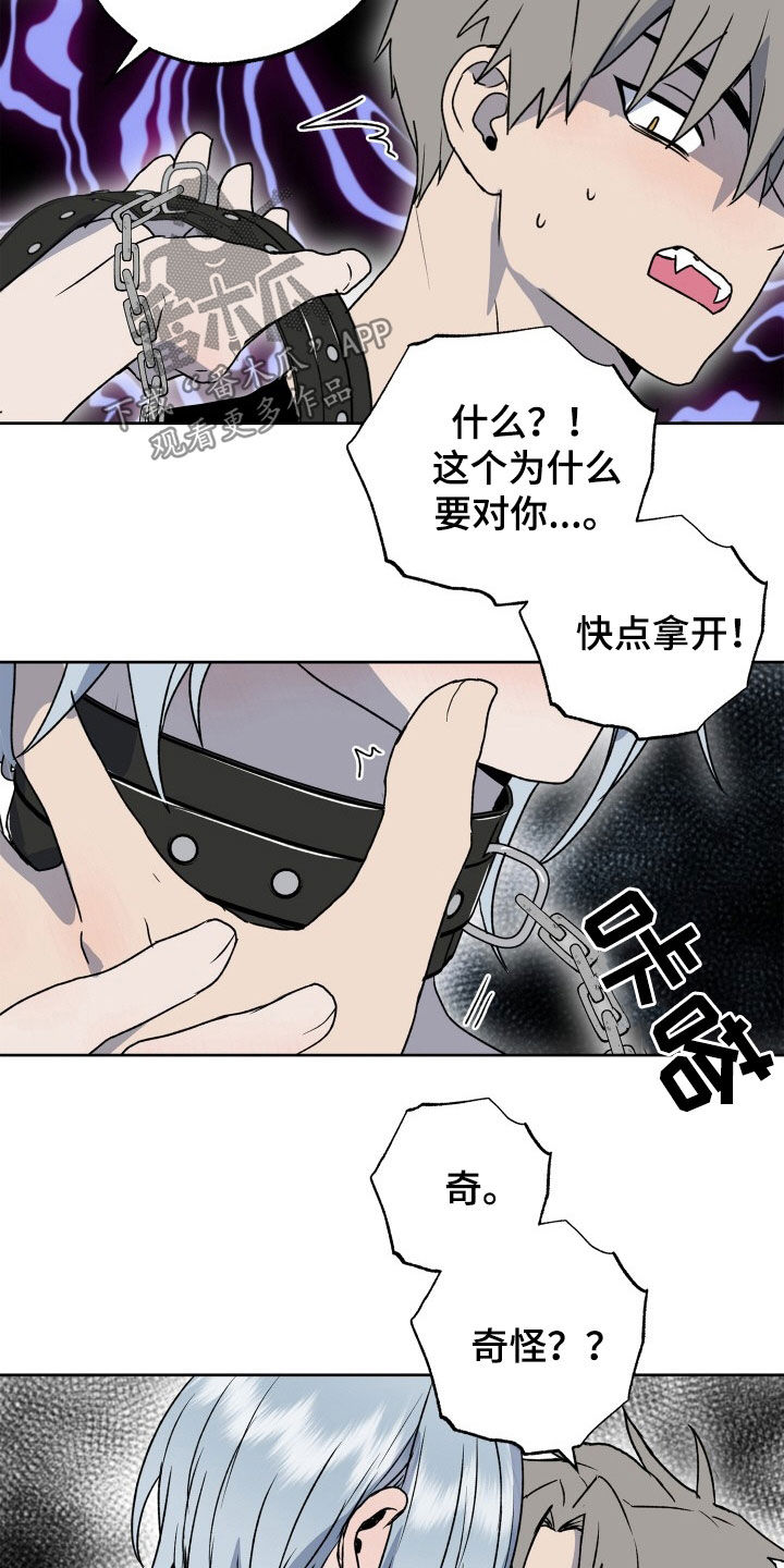第46章：狗狗与主人15
