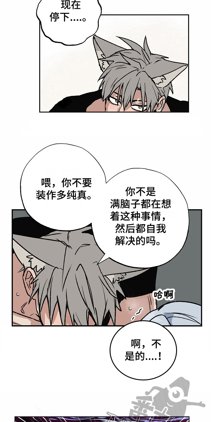 第14章：拜访5
