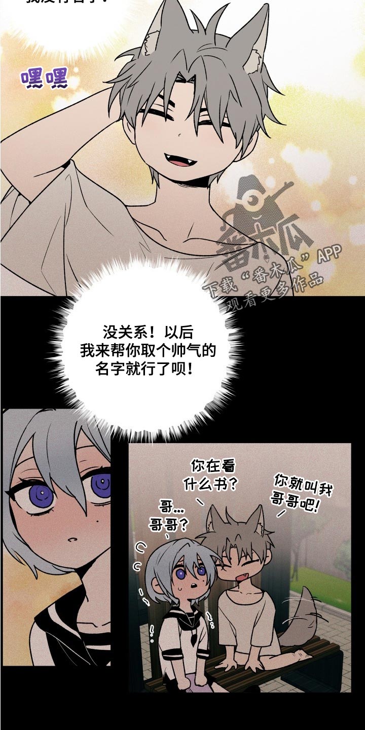 第29章：混乱11