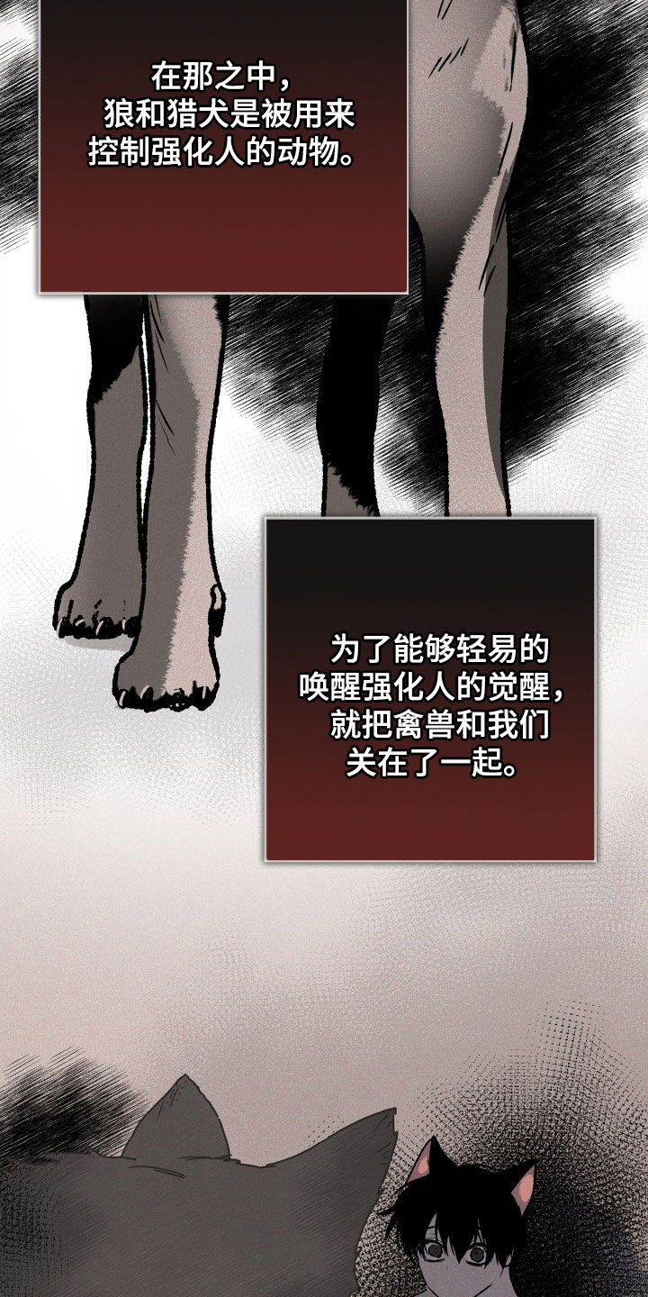 第45章：小时候的记忆5