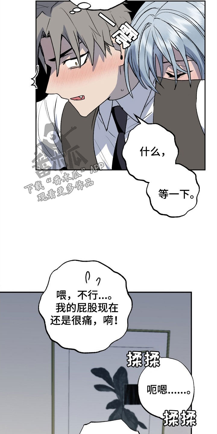 第41章：着急13