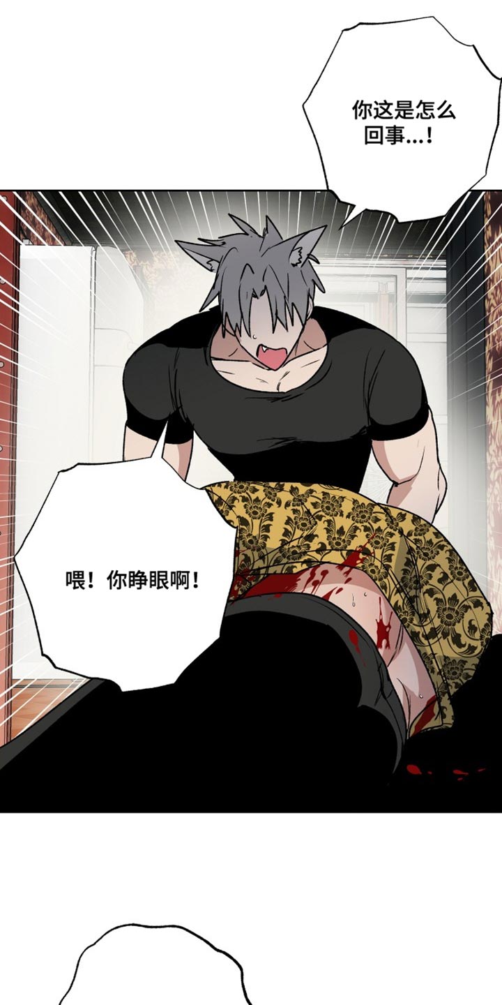 第31章：家人10