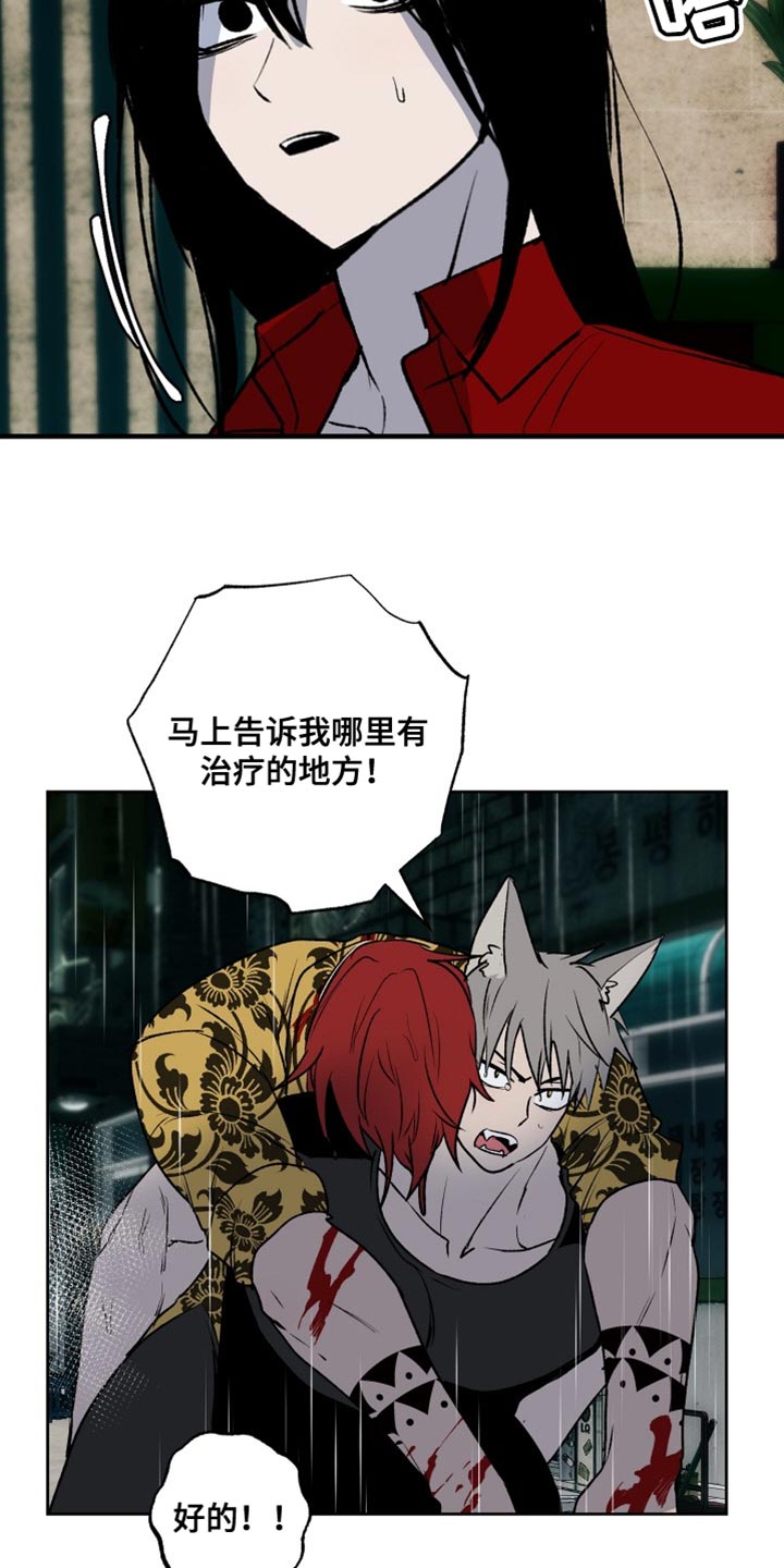 第31章：家人14