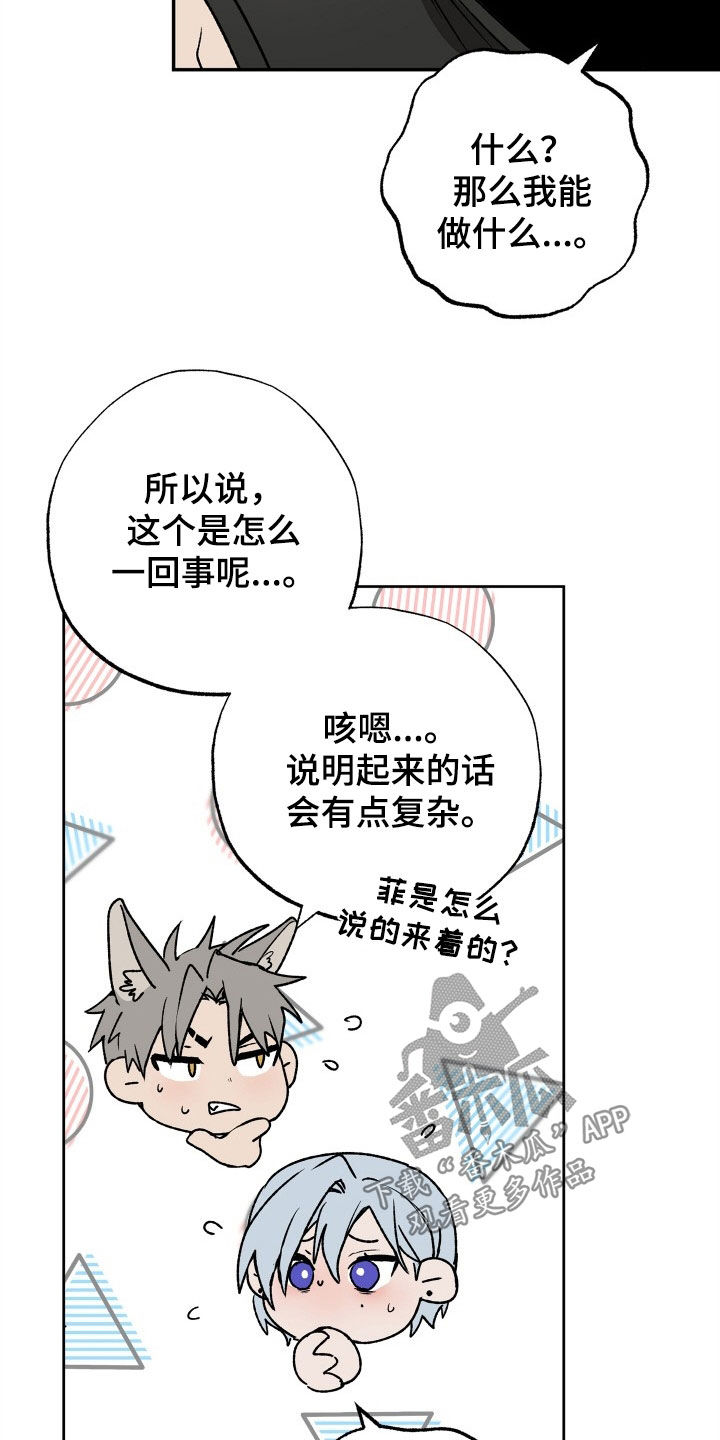 第33章：求婚15