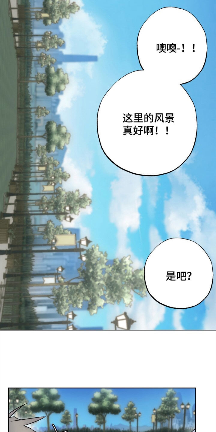 第50章：新婚旅行12