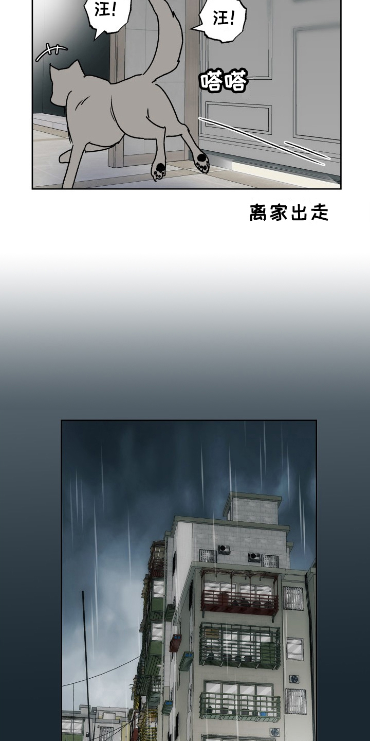 第11章：好意11
