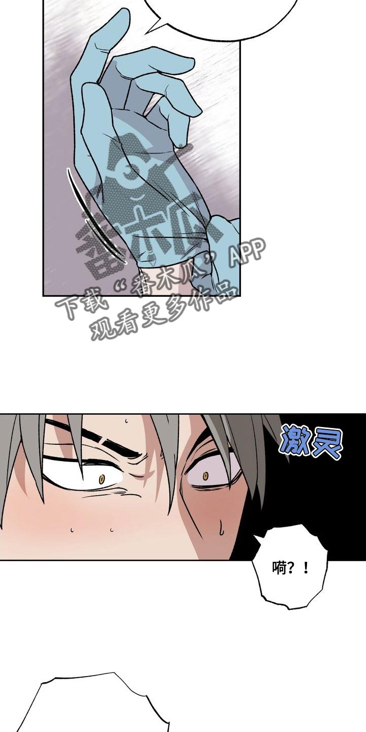 第18章：触诊11