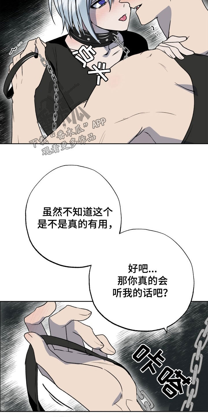 第46章：狗狗与主人21