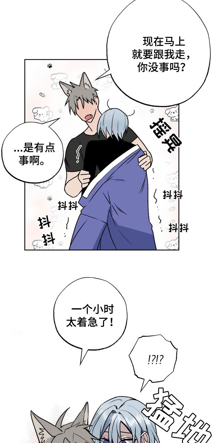 第33章：求婚21
