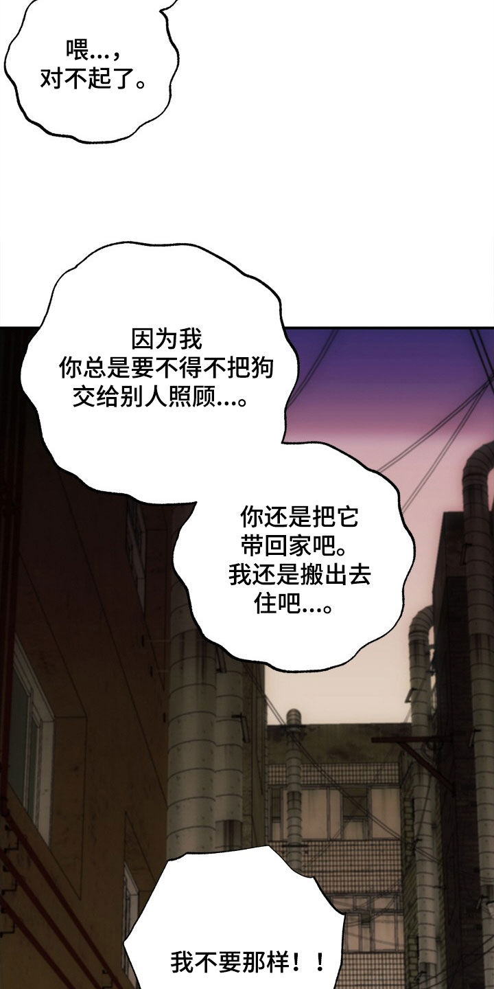 第44章：全都要20