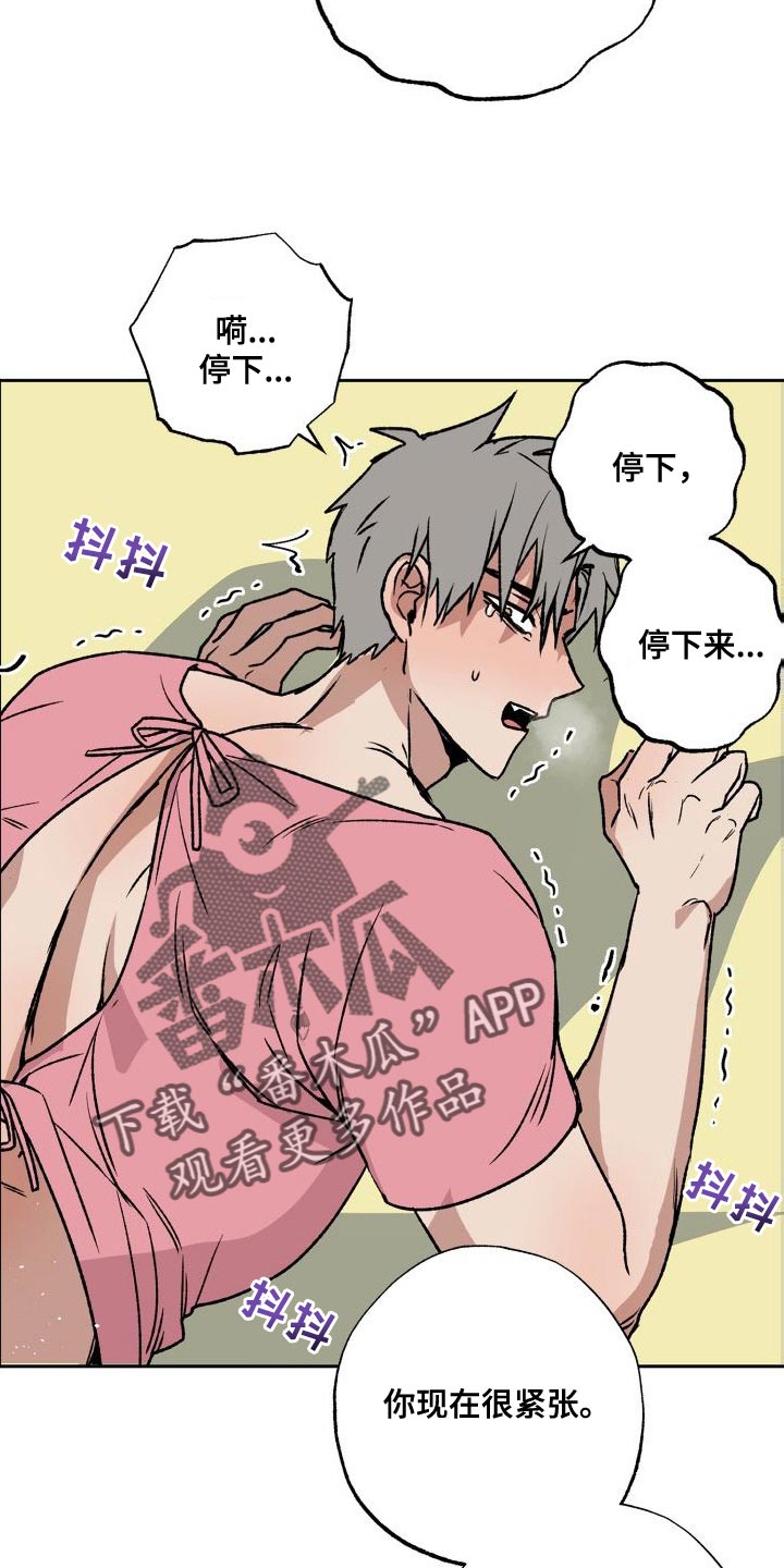 第18章：触诊14