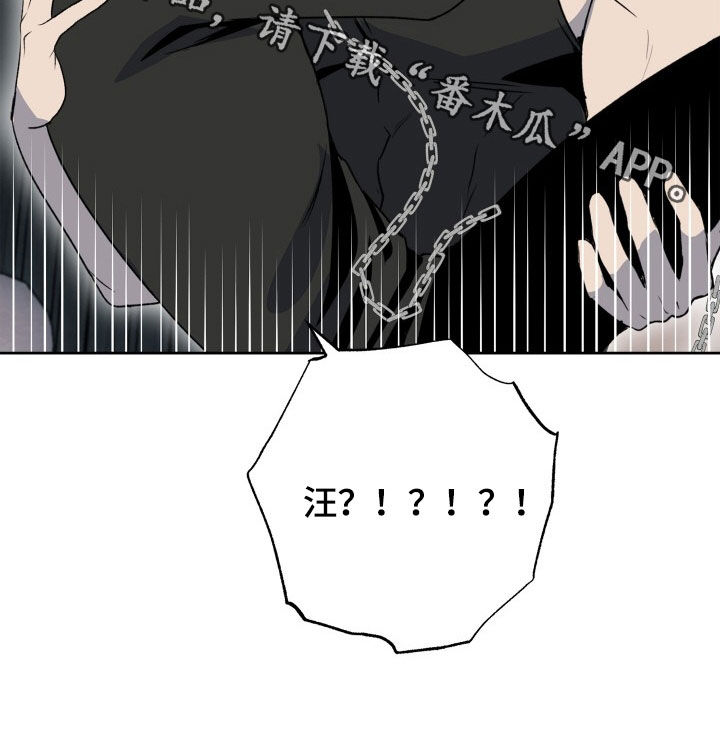 第46章：狗狗与主人23