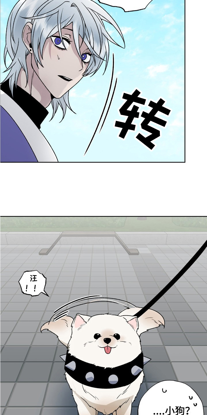 第7章：锻炼11