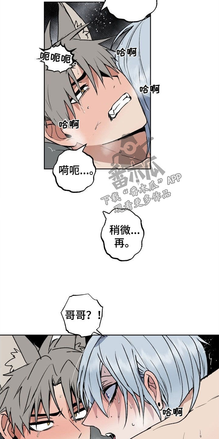 第37章：太喜欢了6