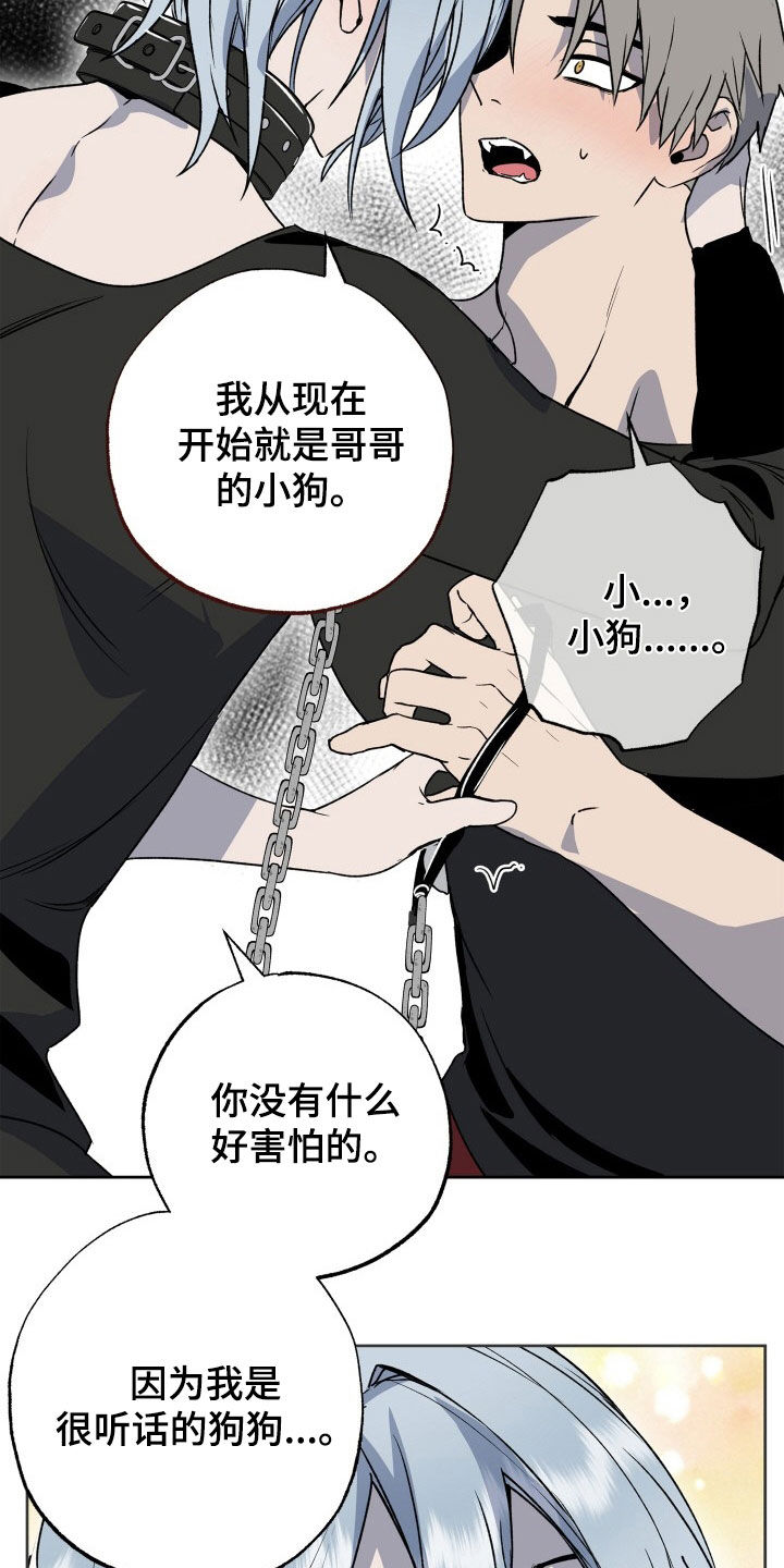 第46章：狗狗与主人16