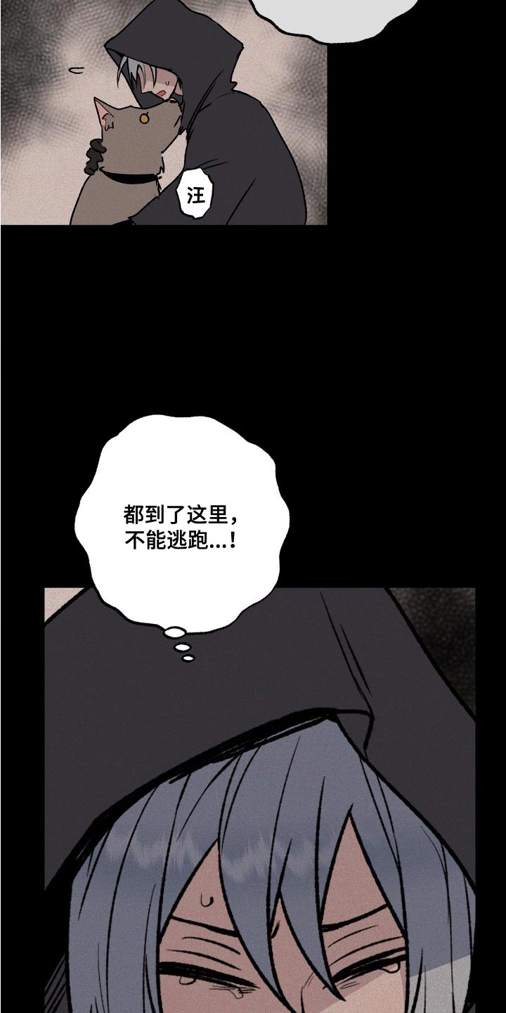 第28章：你为什么骗了我6