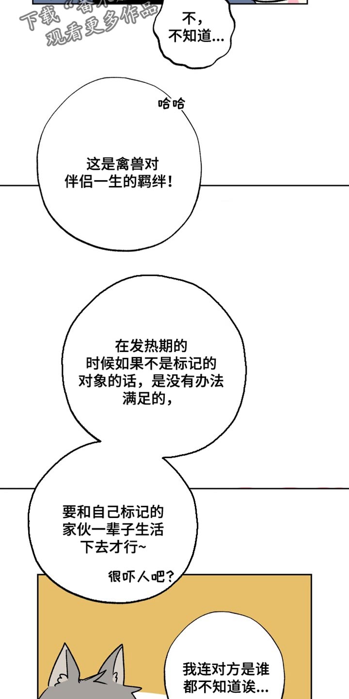 第26章：标记12