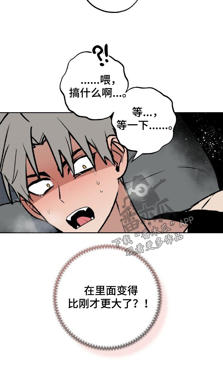 第37章：太喜欢了8