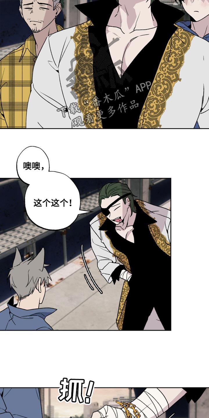 第26章：标记8