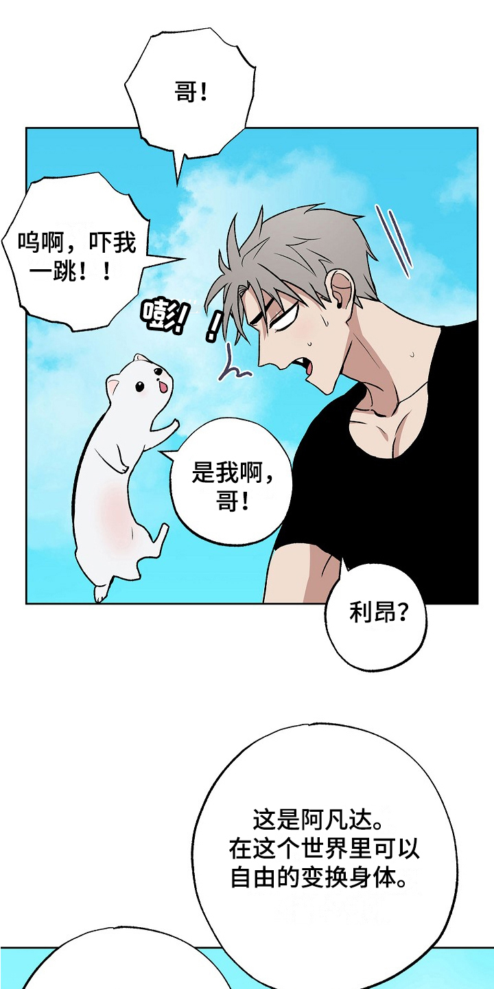 第8章：助手14