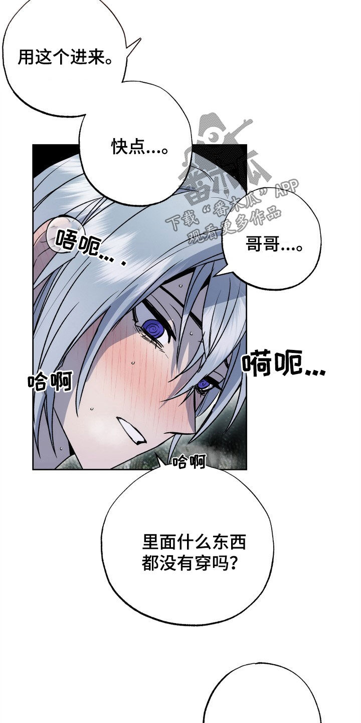 第50章：新婚旅行19