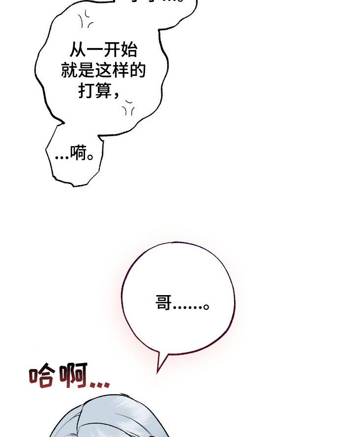 第35章：义务15