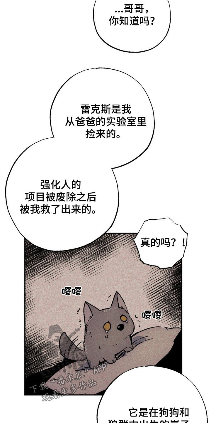 第48章：4年21