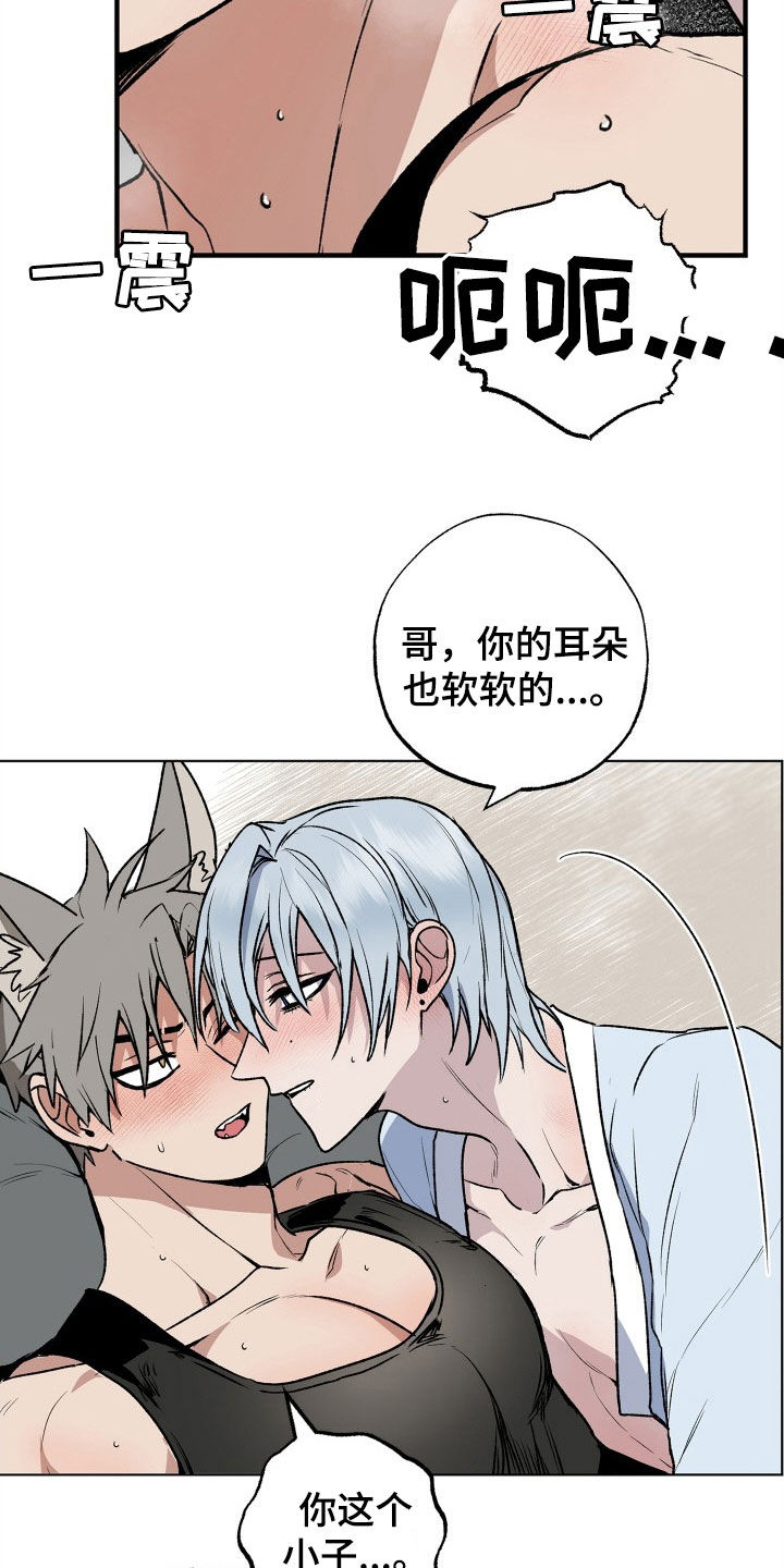 第35章：义务14