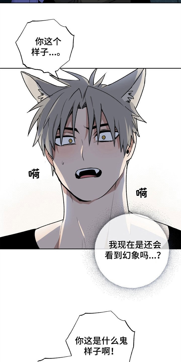 第33章：求婚2