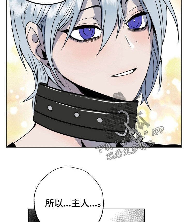 第46章：狗狗与主人17