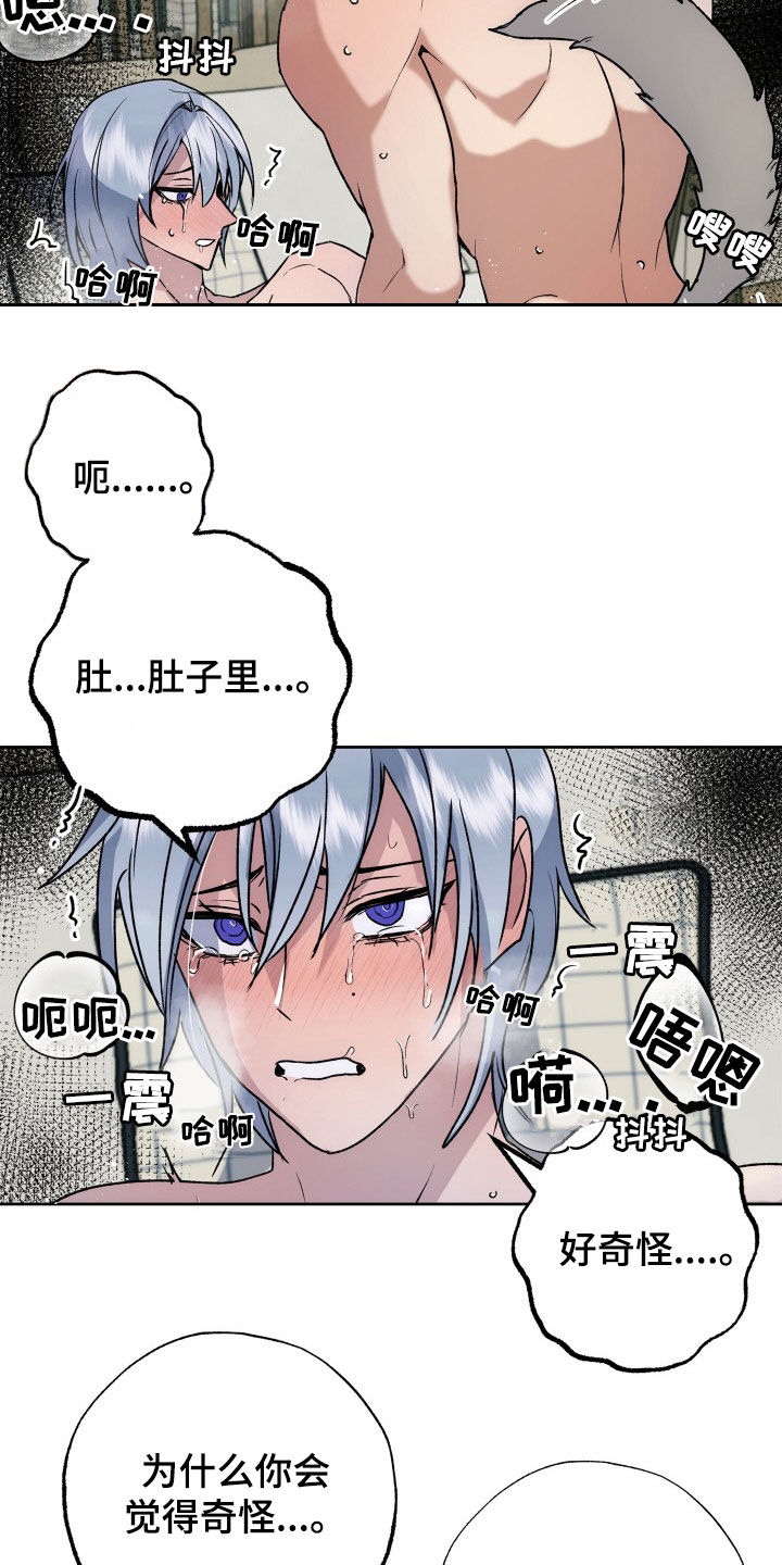 第51章：人生有意义（完结）14