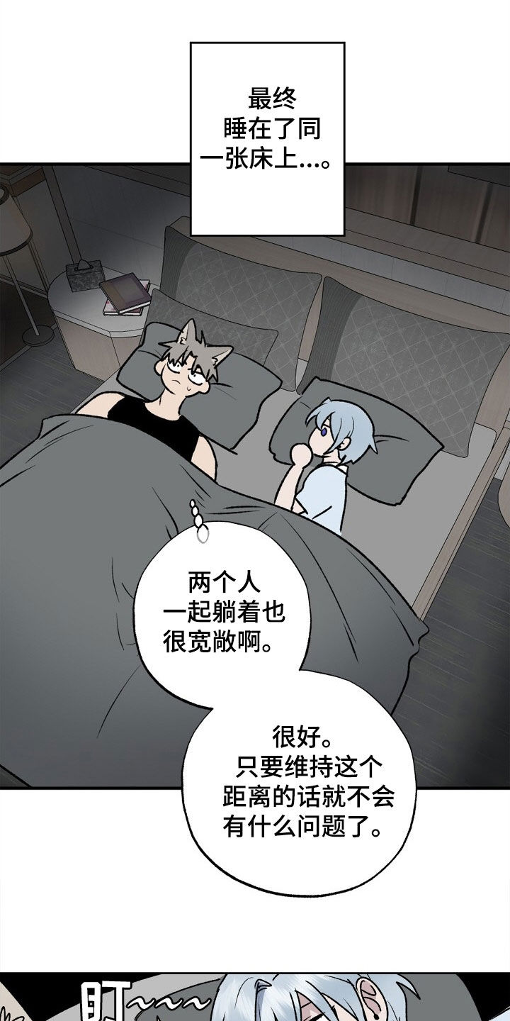 第35章：义务5