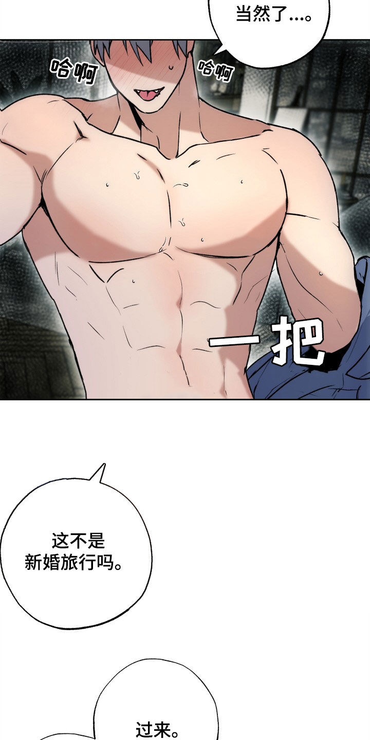 第50章：新婚旅行20