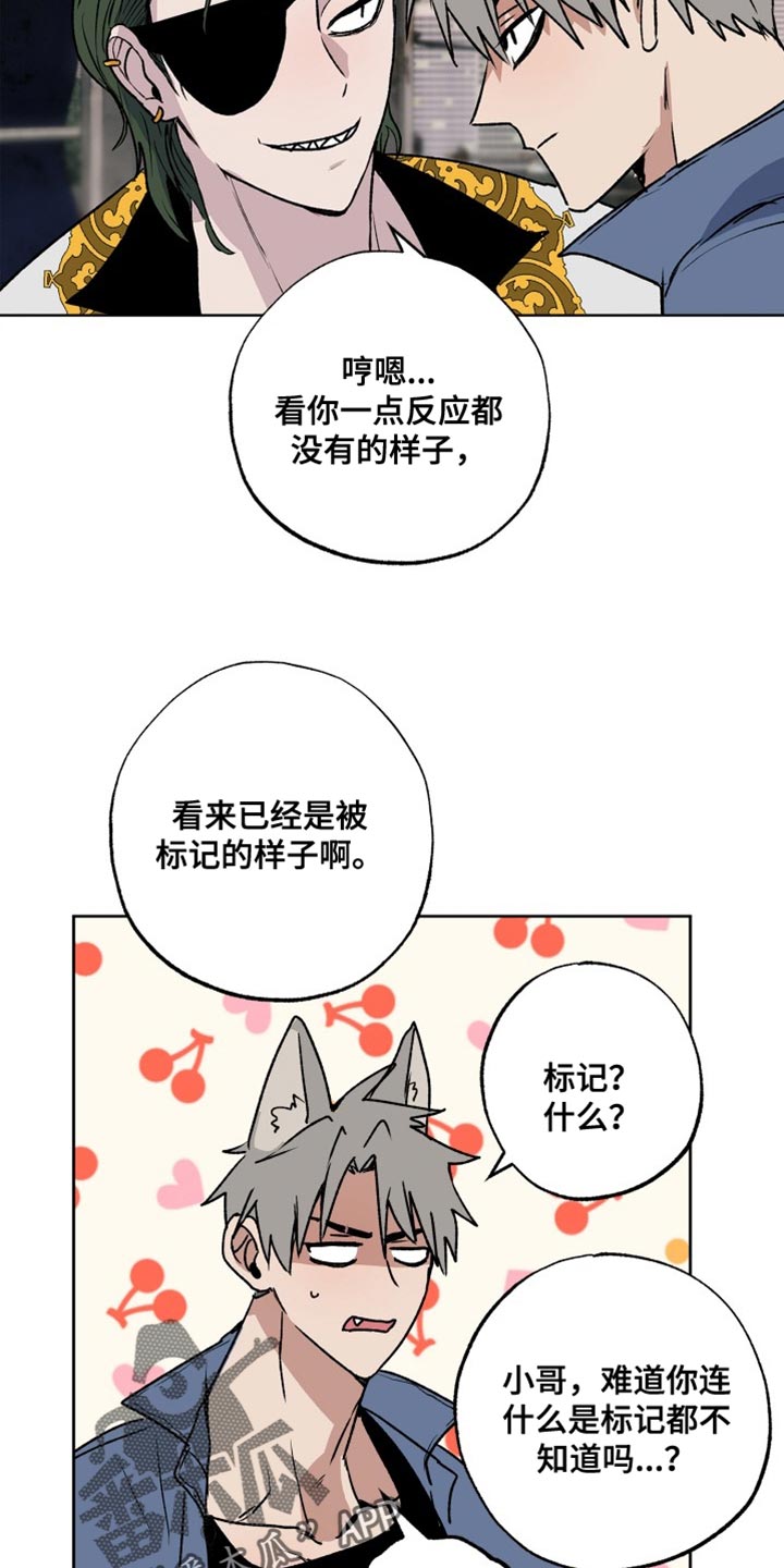 第26章：标记11
