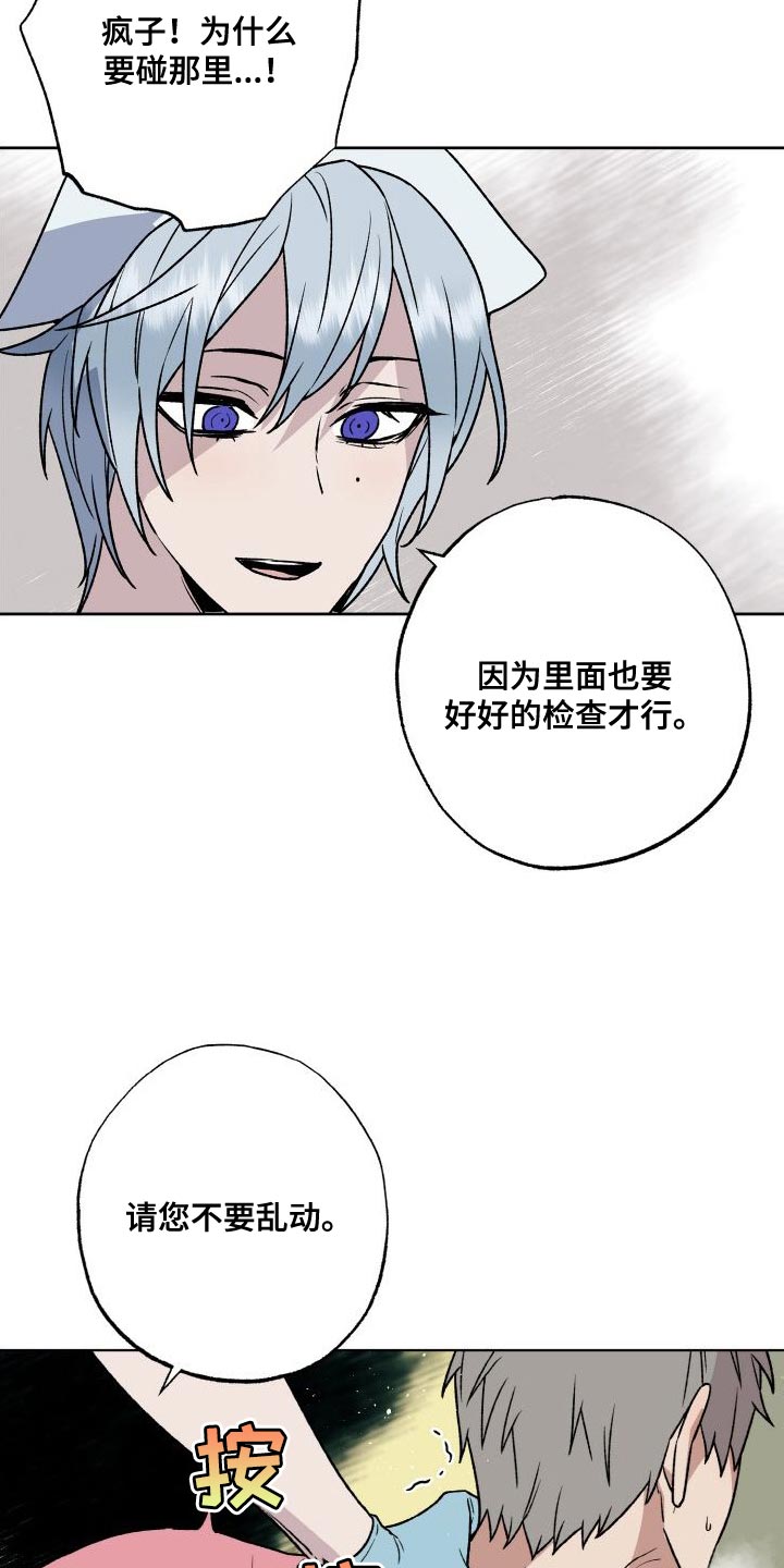 第18章：触诊12