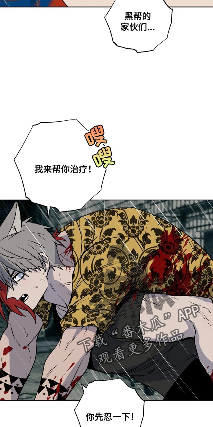 第31章：家人12