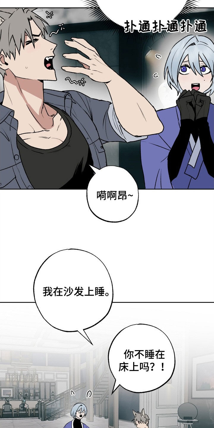 第35章：义务1
