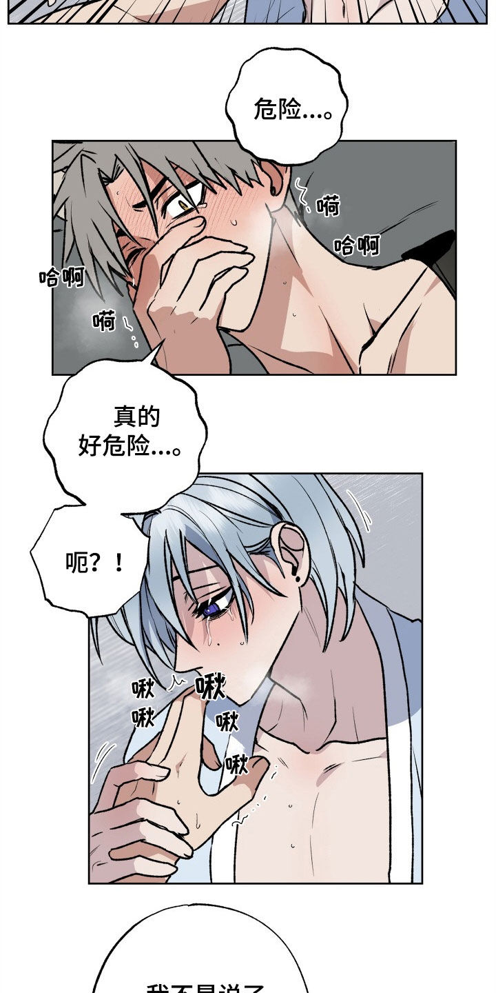 第35章：义务19