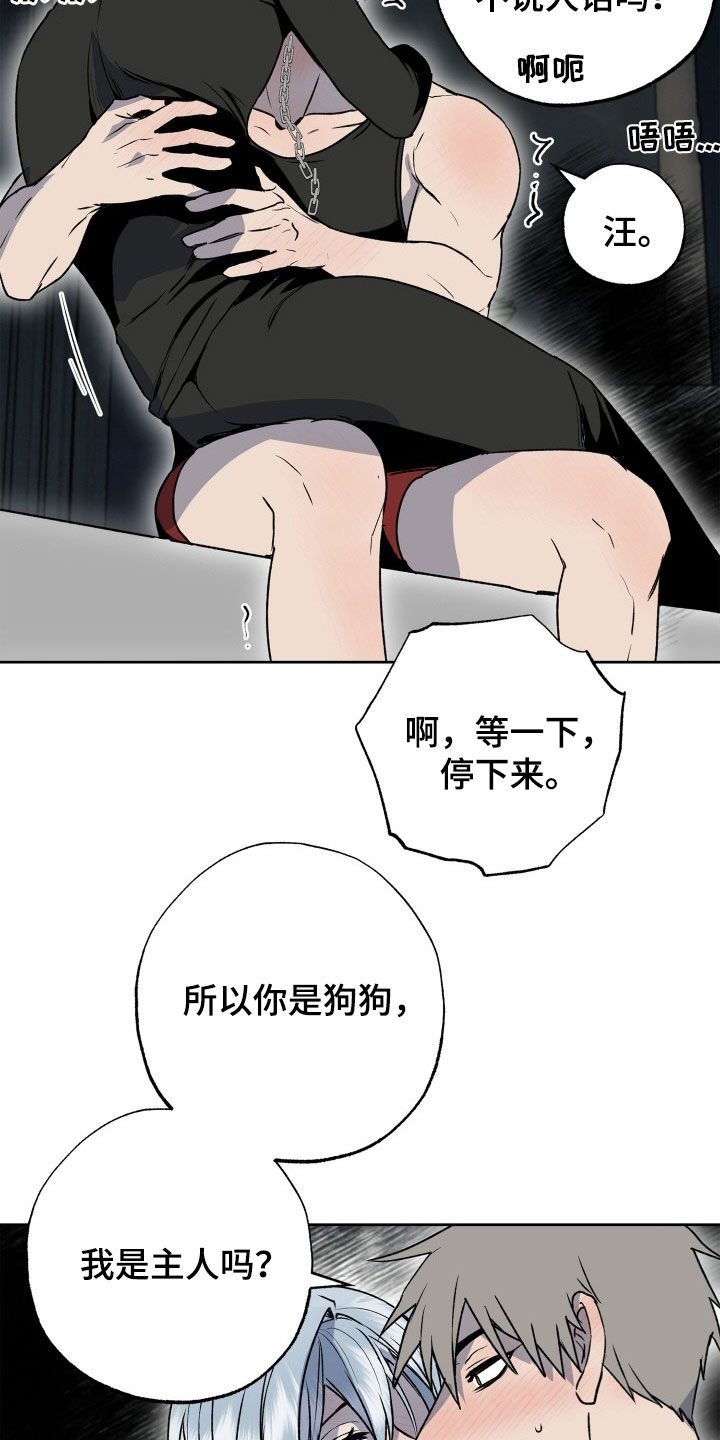 第46章：狗狗与主人20