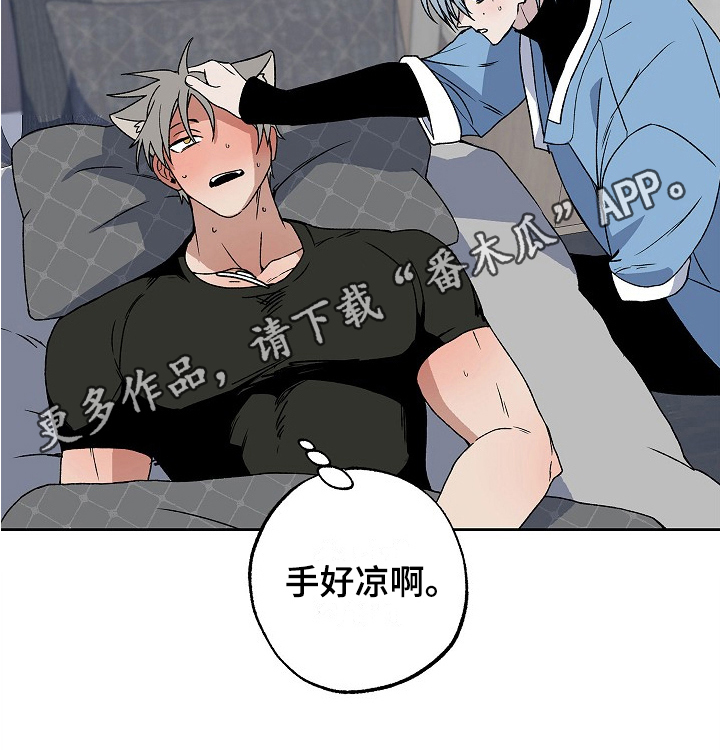 第5章：发作18