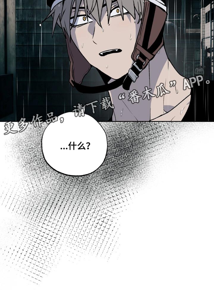 第31章：家人21