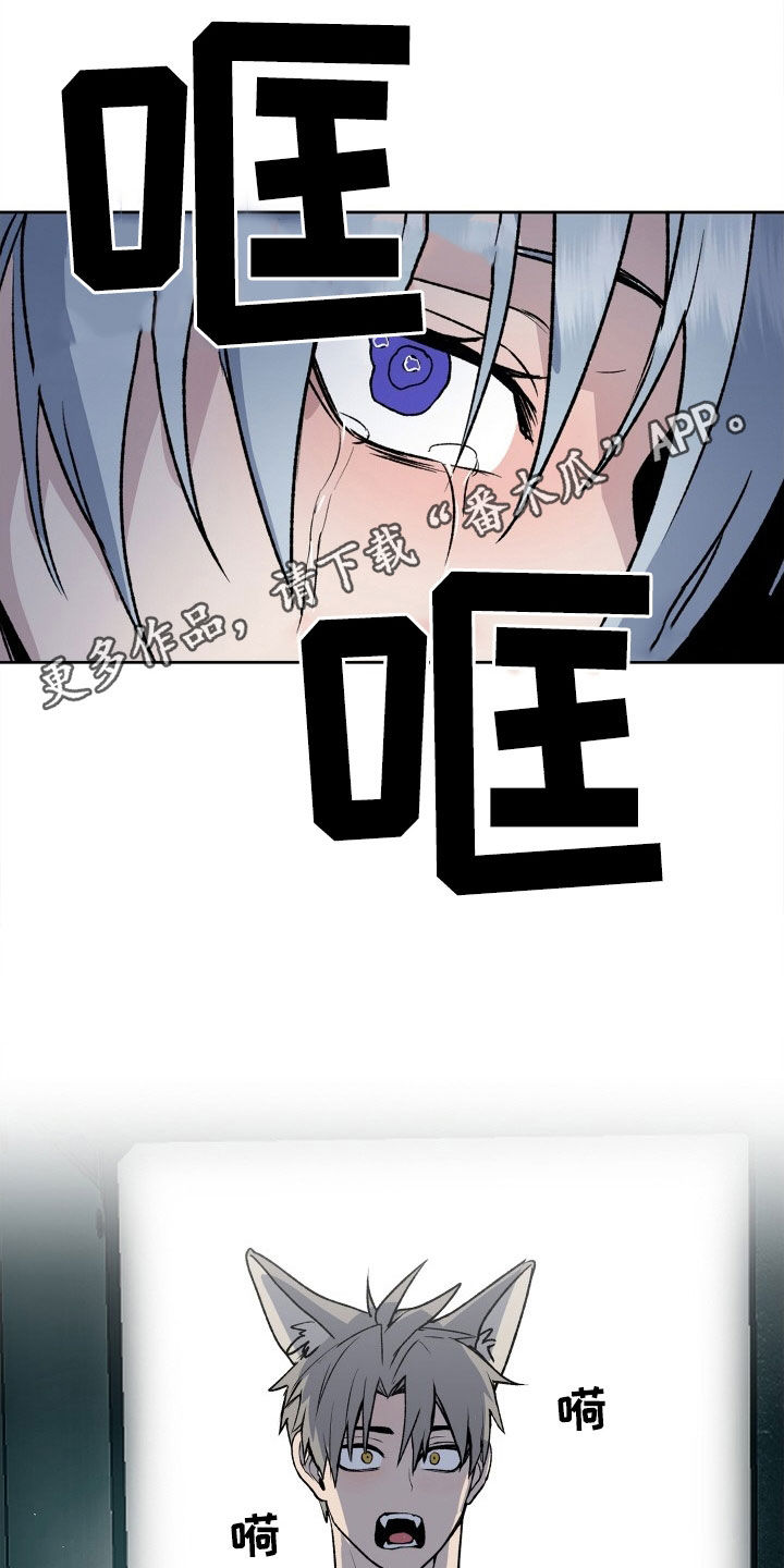 第33章：求婚0