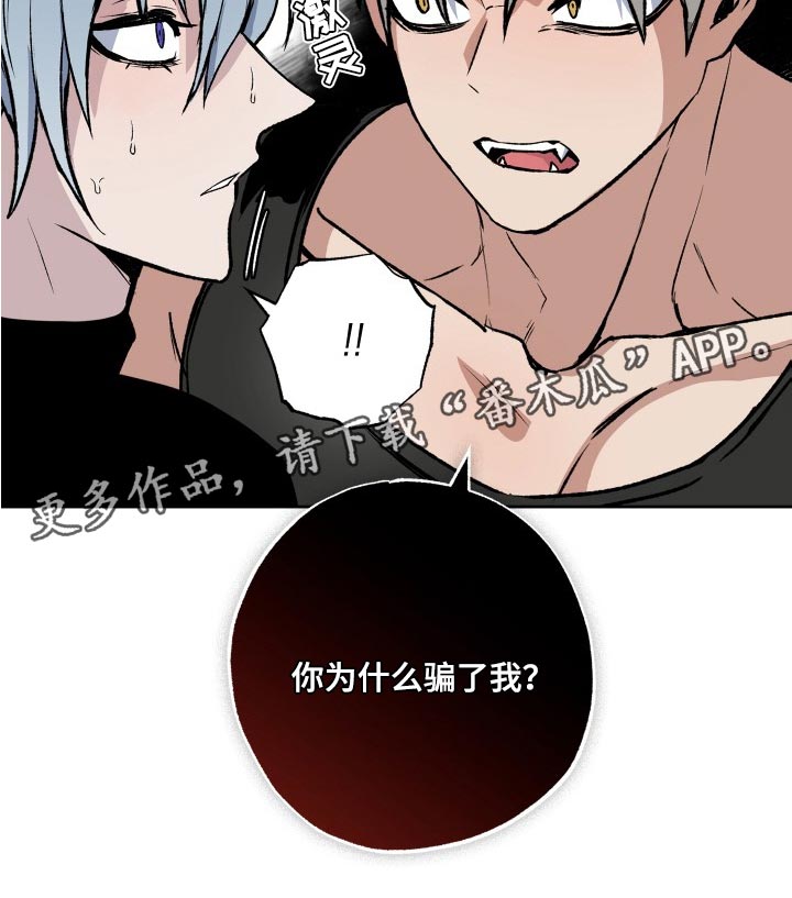 第28章：你为什么骗了我20
