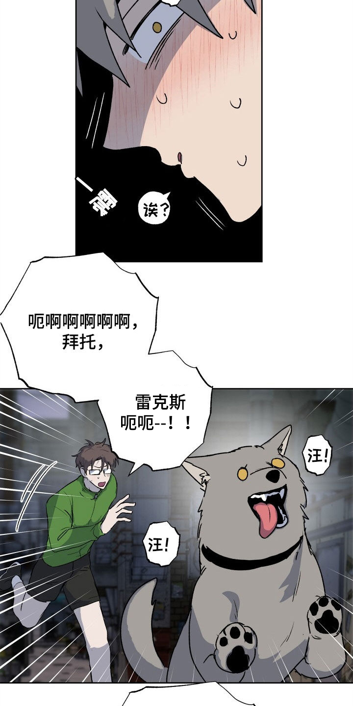 第44章：全都要16