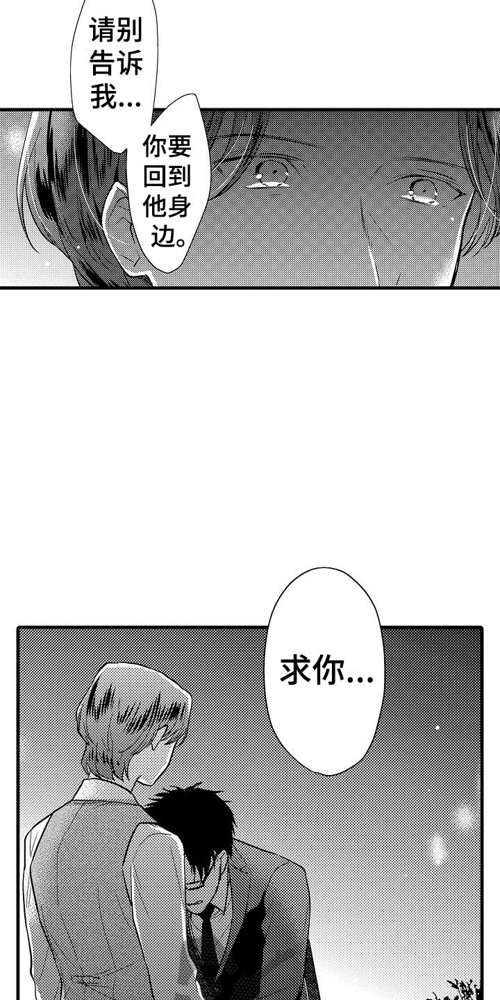 第24章：表白11