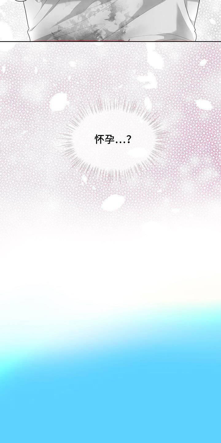第113章：【第二季】怀孕12